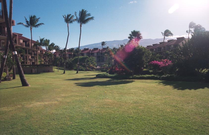 click for larger size