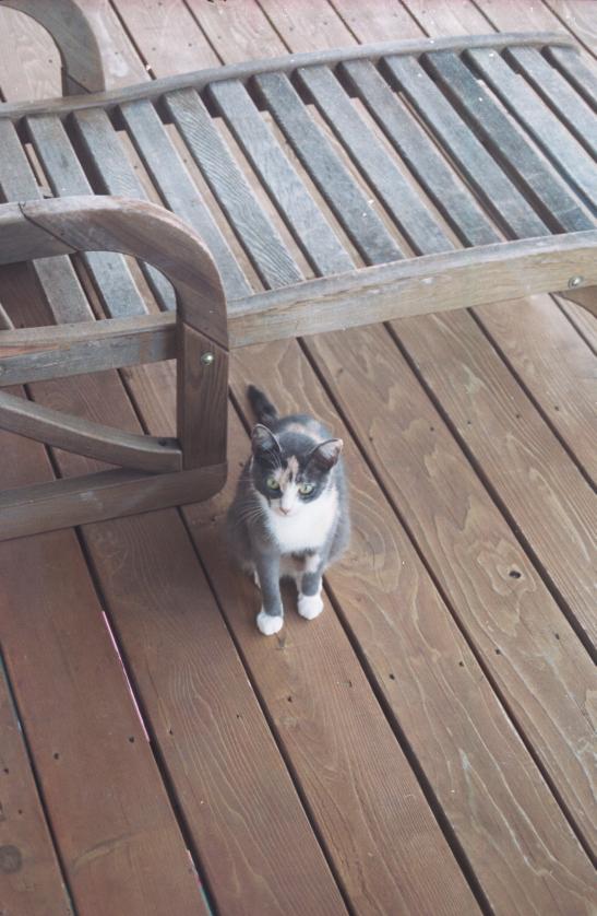 click for larger size