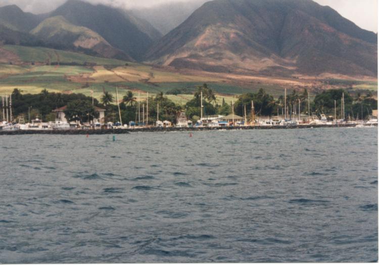 click for larger size