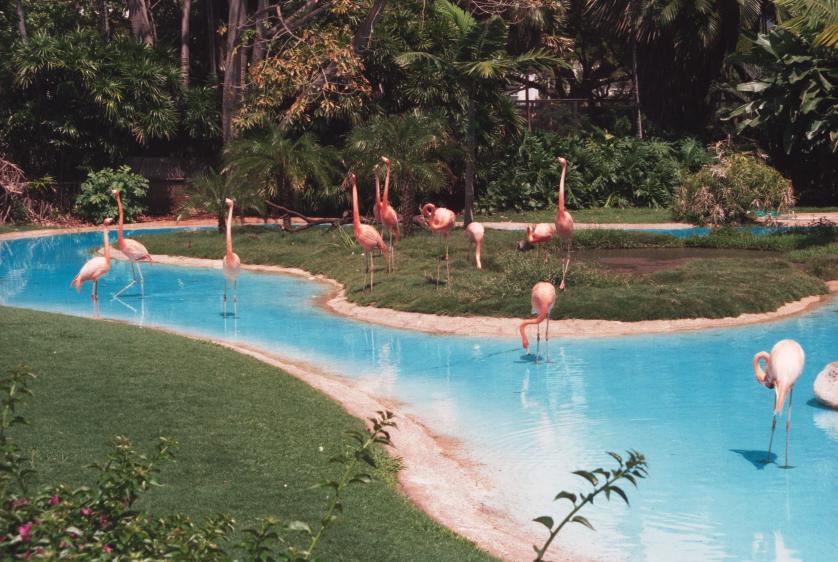 click for larger size