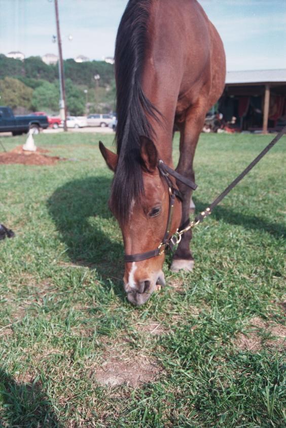 click for larger size