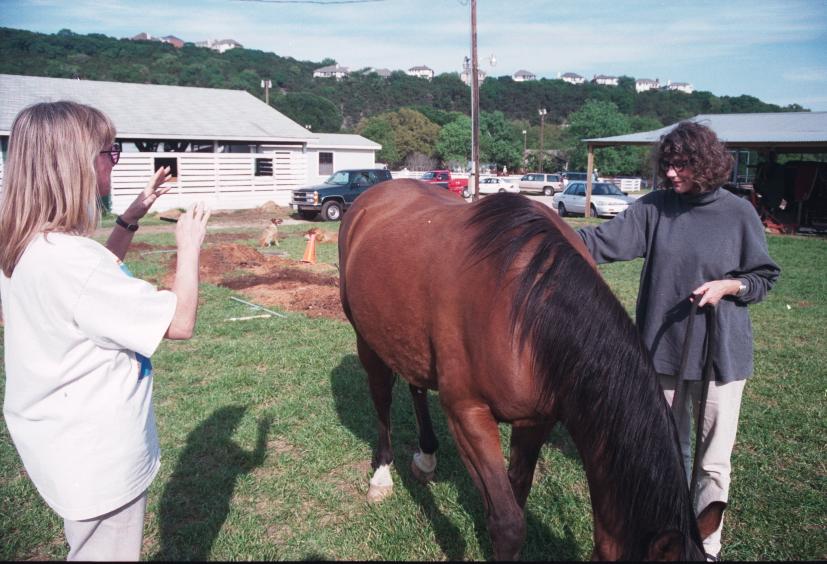 click for larger size