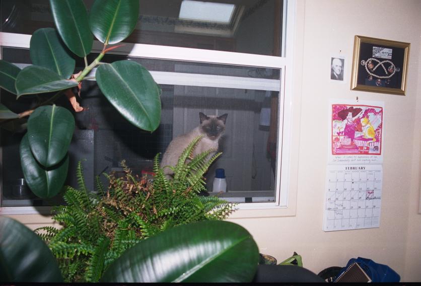 click for larger size