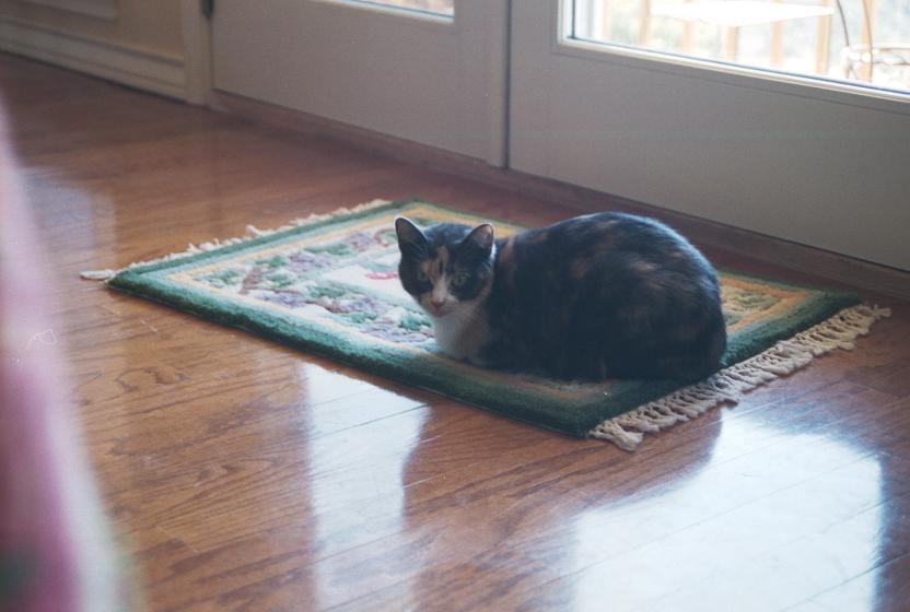 click for larger size