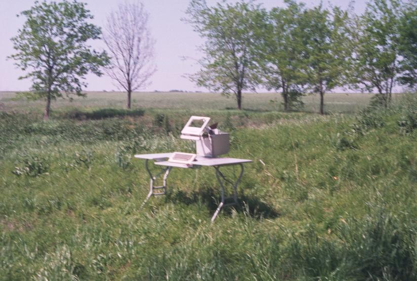 click for larger size