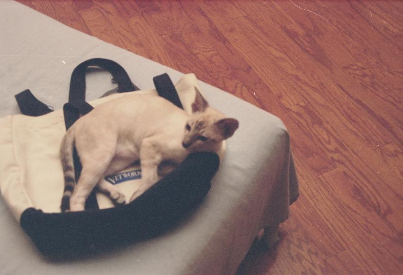 click for larger size