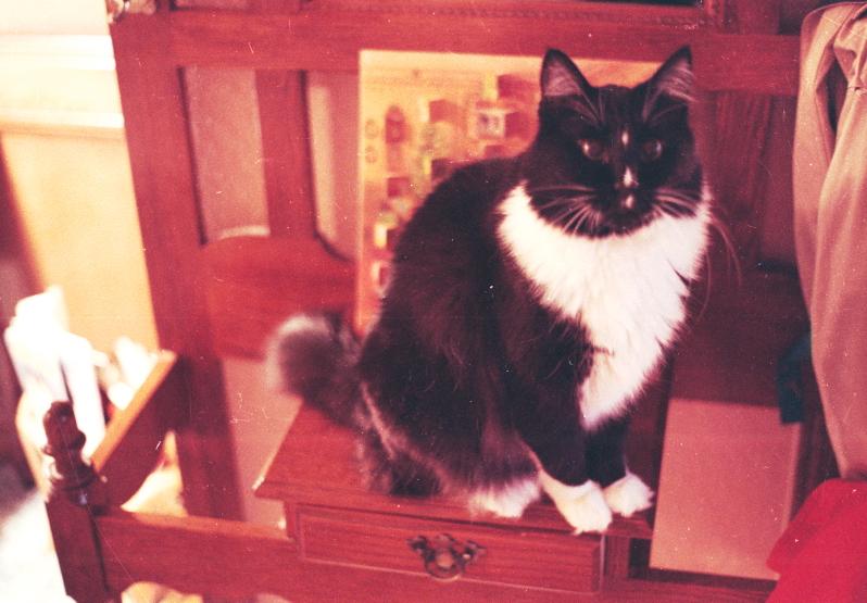 click for larger size