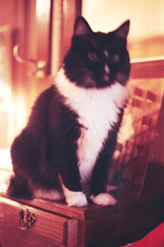 click for larger size