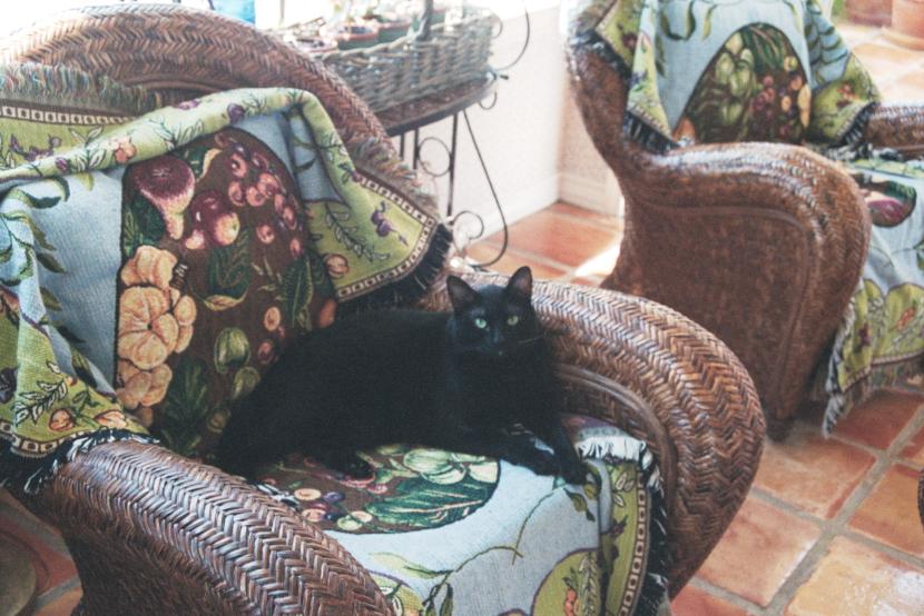 click for larger size