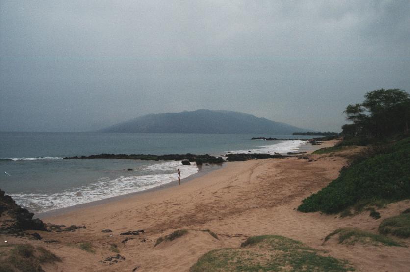 click for larger size