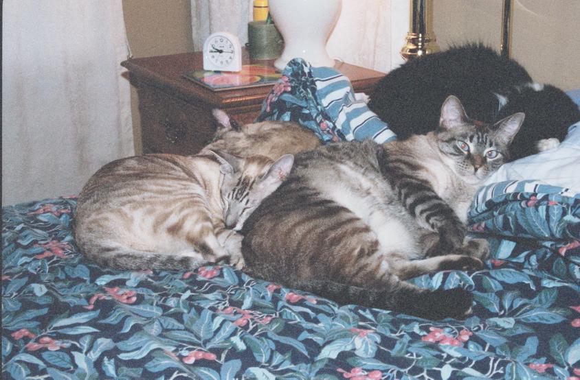 click for larger size