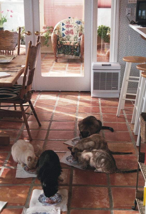 click for larger size