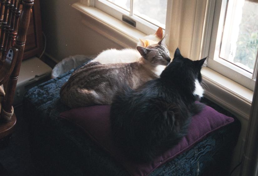 click for larger size