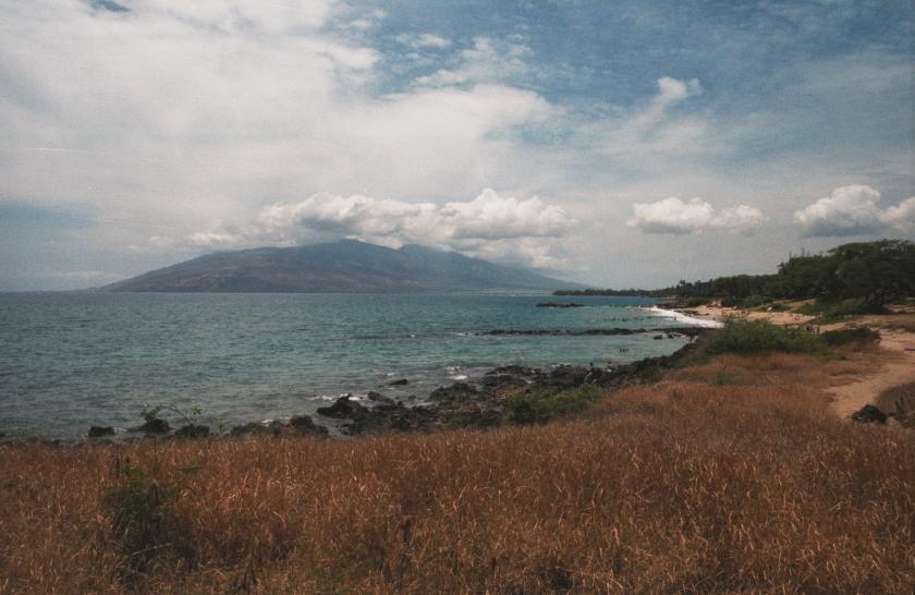 click for larger size