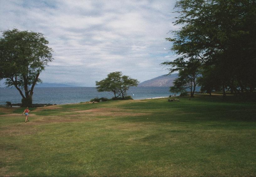 click for larger size