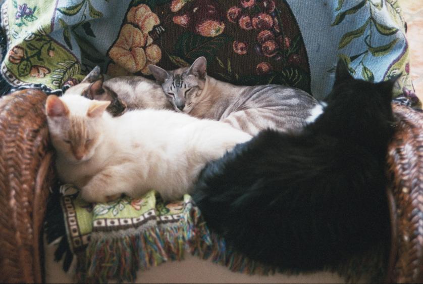 click for larger size