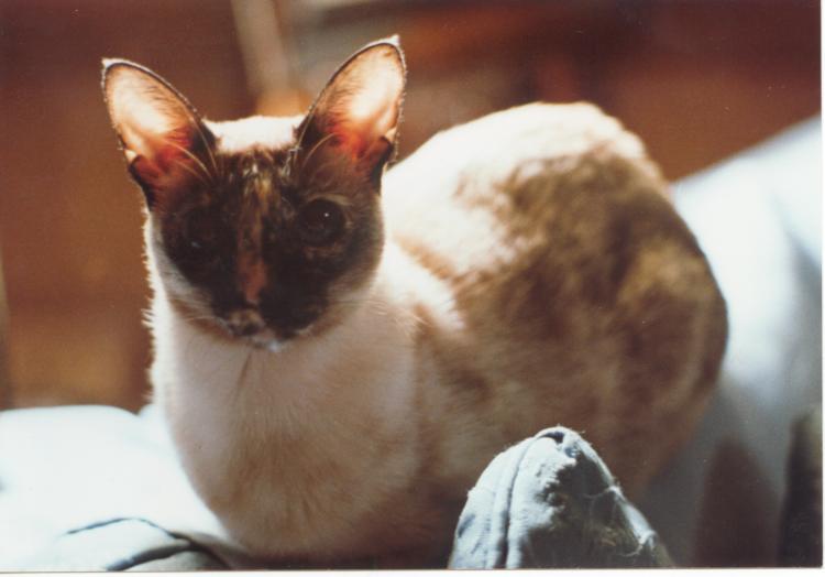 click for larger size