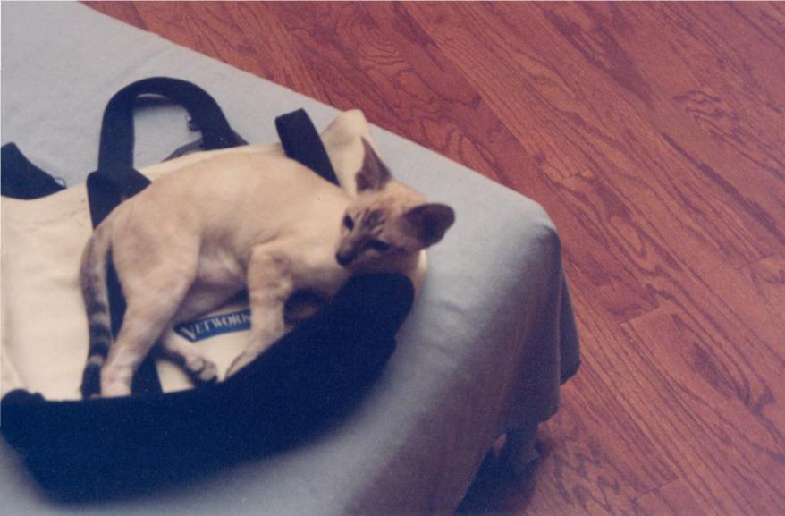 click for larger size