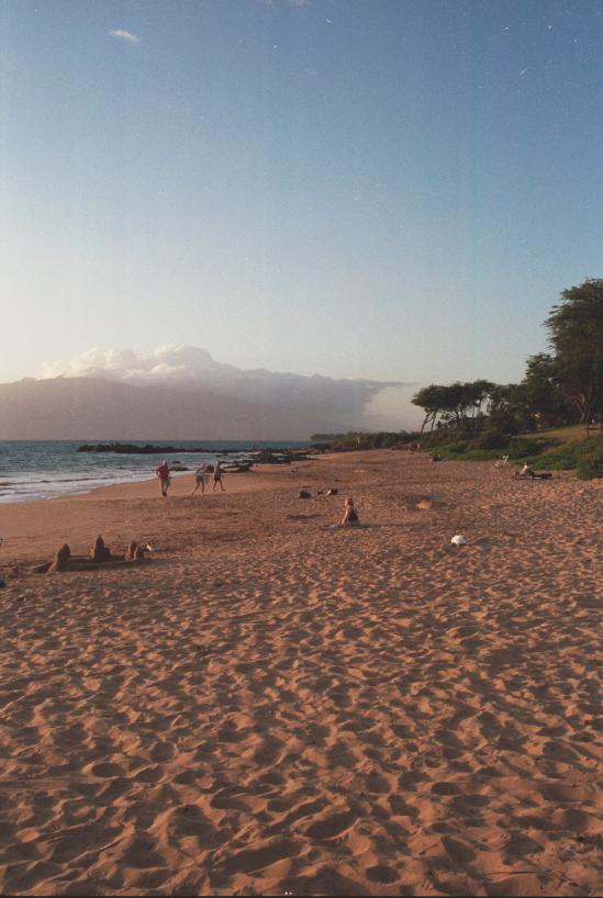 click for larger size