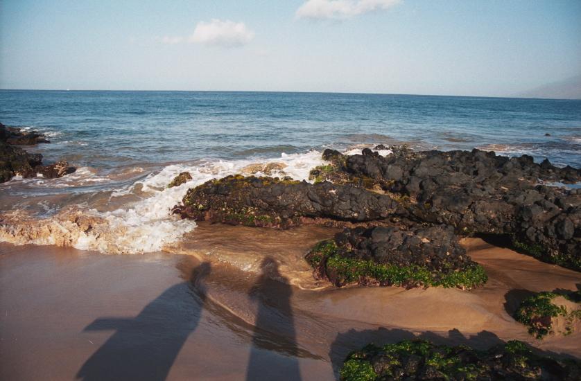 click for larger size