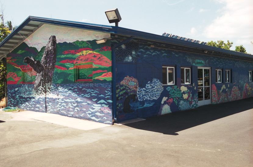 click for larger size