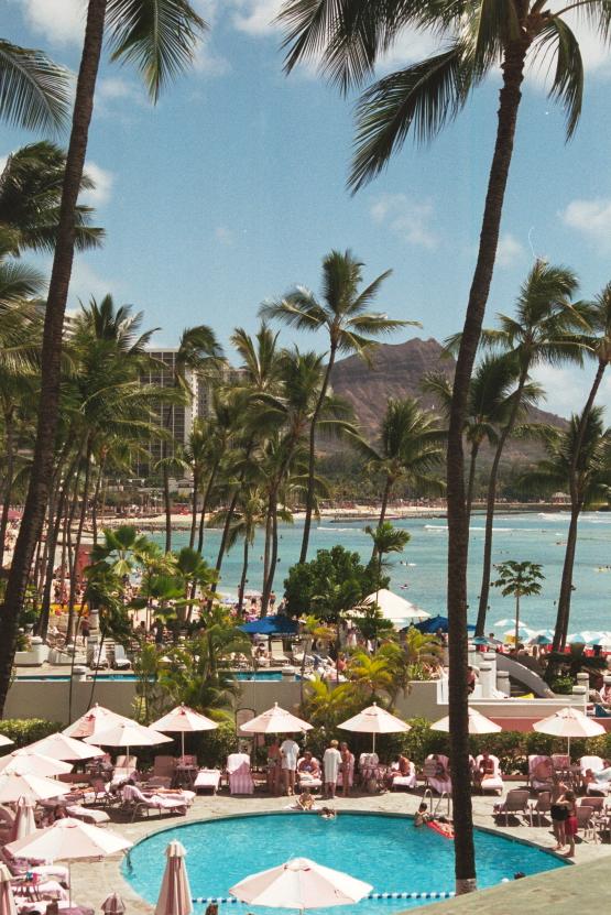 click for larger size