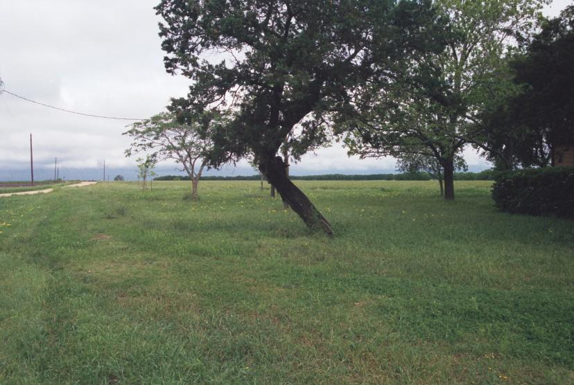 click for larger size