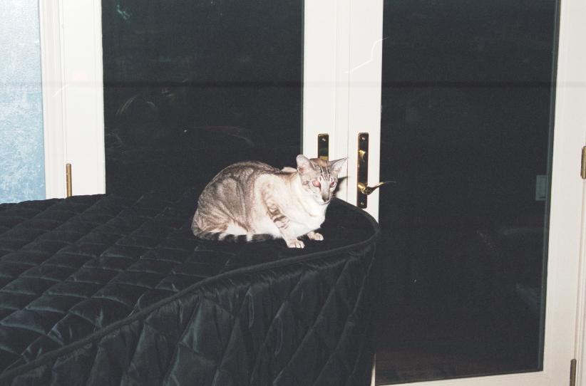 click for larger size