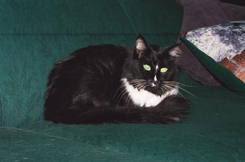 click for larger size