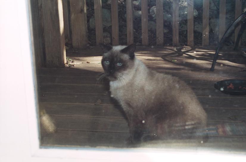 click for larger size