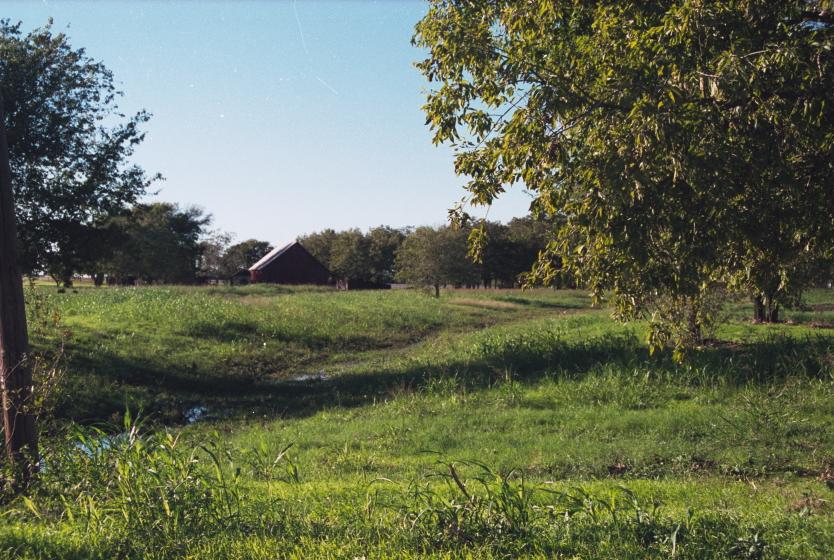 click for larger size