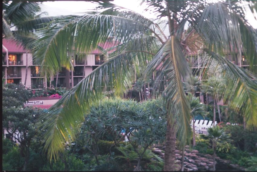 click for larger size