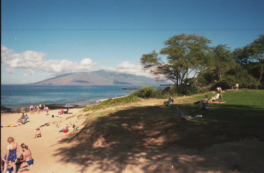 click for larger size