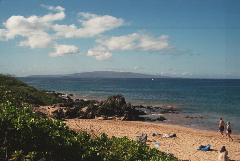 click for larger size