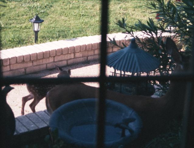 click for larger size