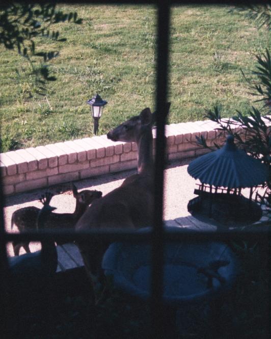 click for larger size