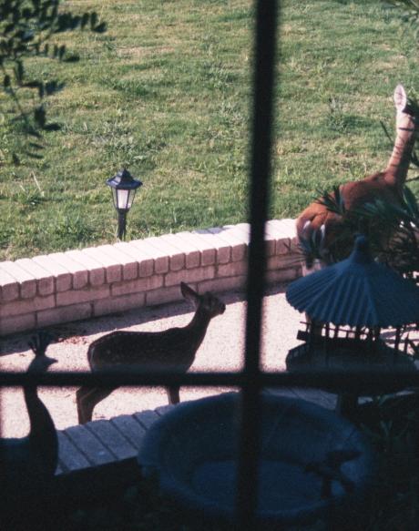 click for larger size