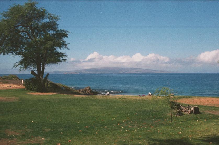 click for larger size