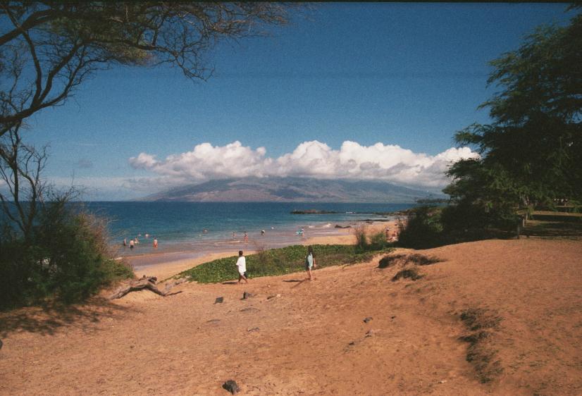 click for larger size