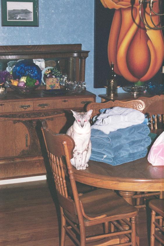 click for larger size