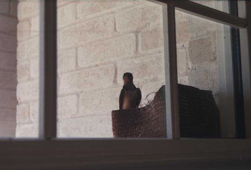 click for larger size