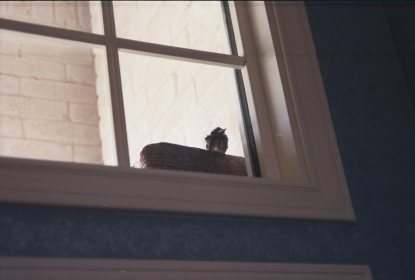 click for larger size