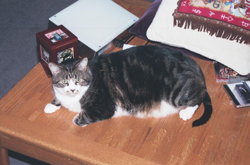 click for larger size