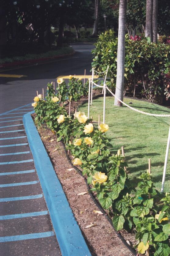 click for larger size