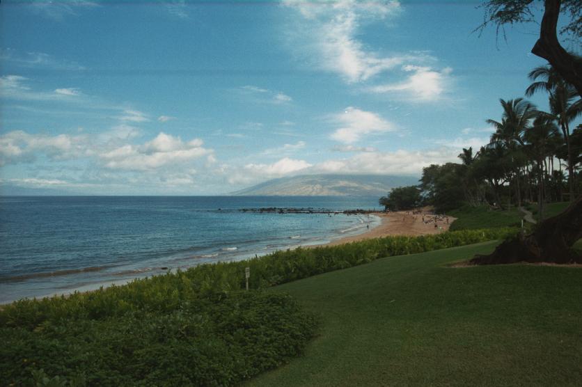 click for larger size