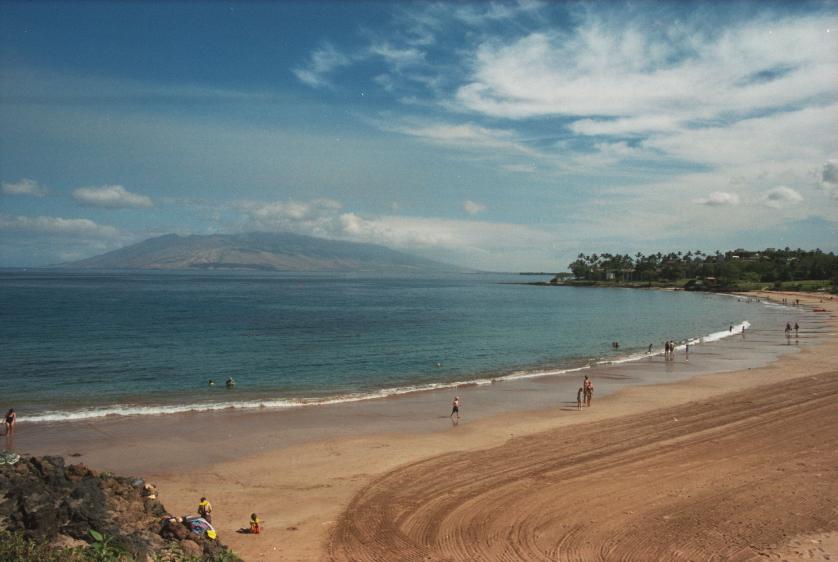 click for larger size