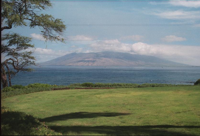 click for larger size