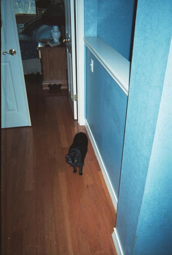 click for larger size