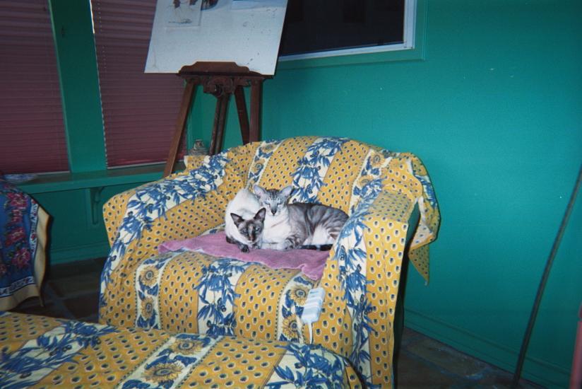 click for larger size