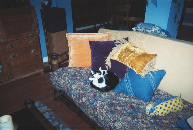 click for larger size